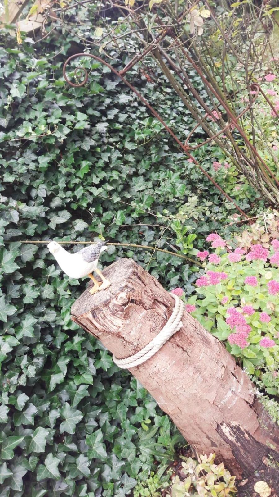 Heimathafen Villa Bordelum Bagian luar foto